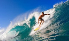 米兰登录入口-当灰熊的狂野遇上绿军的坚韧，欧文如何用统治级数据书写传奇