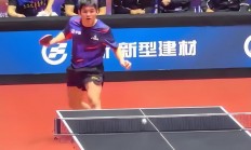 米兰捕鱼-包含波兰队碾压日本队，许昕高光表现的词条