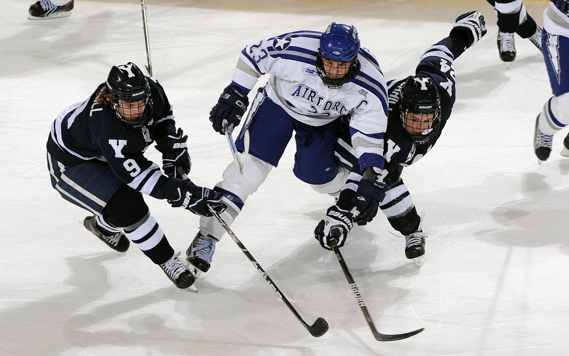 意甲焦点战启示，尼斯如何用混凝土防守锁死荷兰风暴