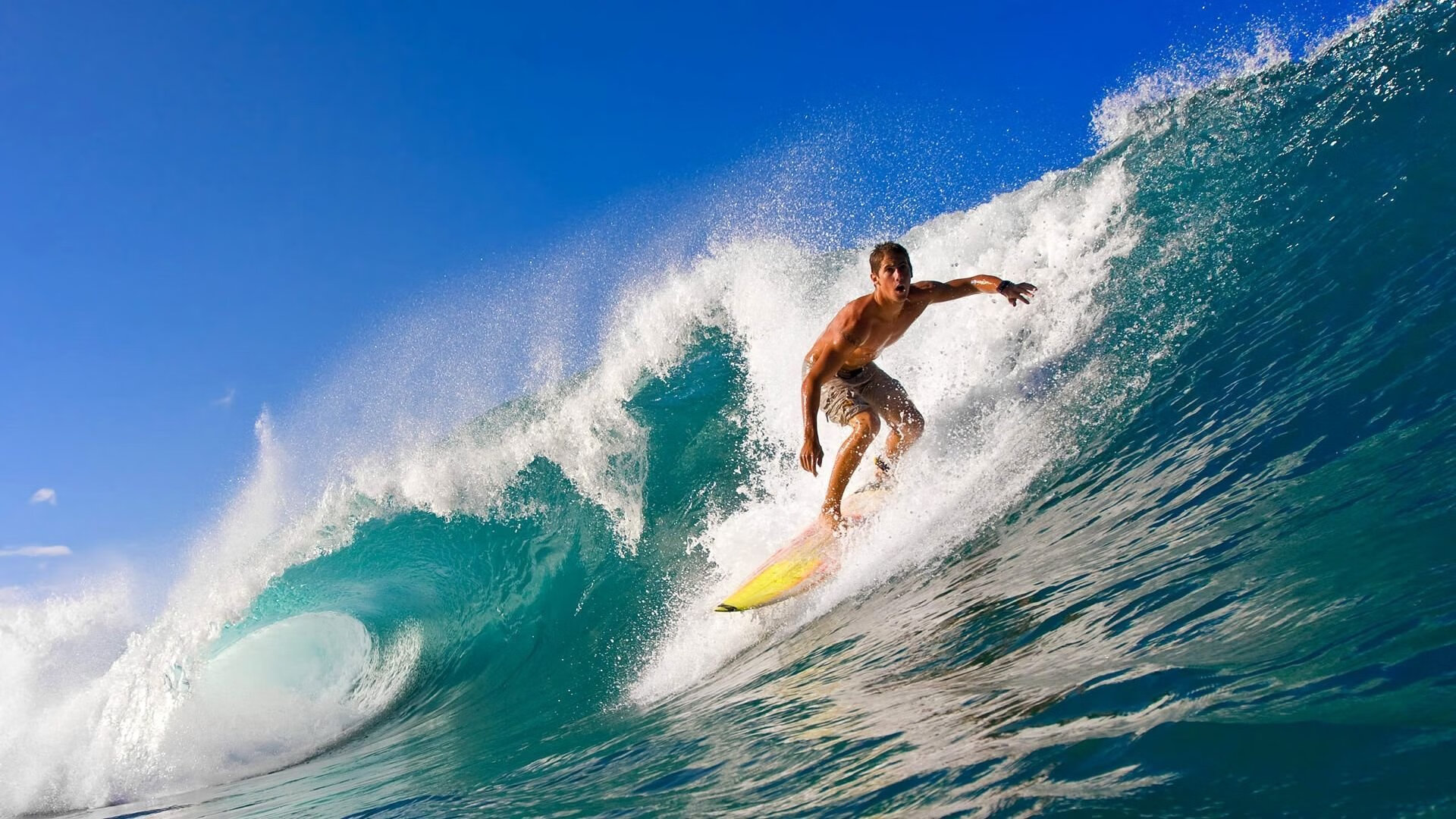 当灰熊的狂野遇上绿军的坚韧，欧文如何用统治级数据书写传奇
