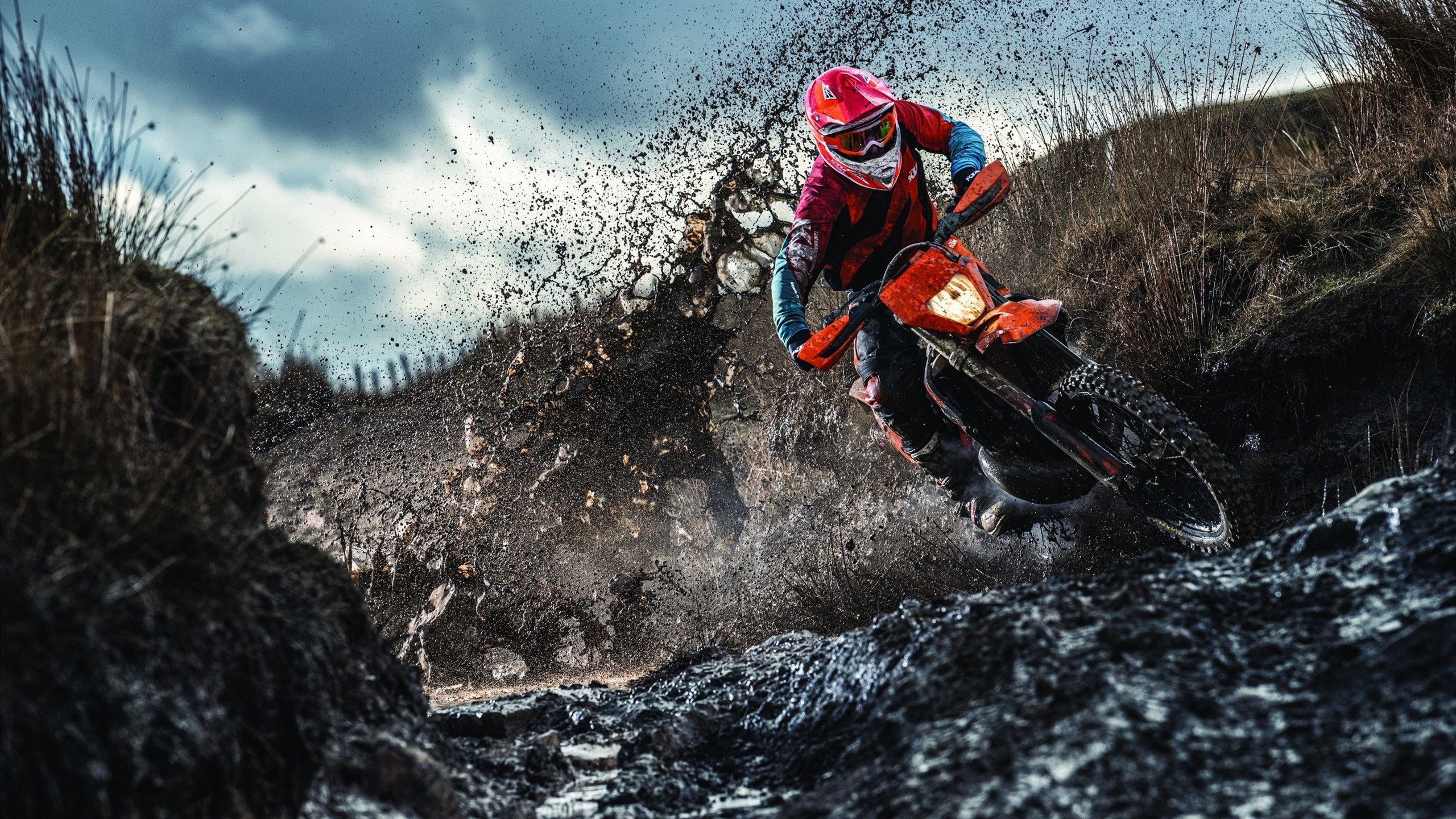 猛龙强势拿下辽宁队,米切尔刷新纪录,一场定义赛季的胜利